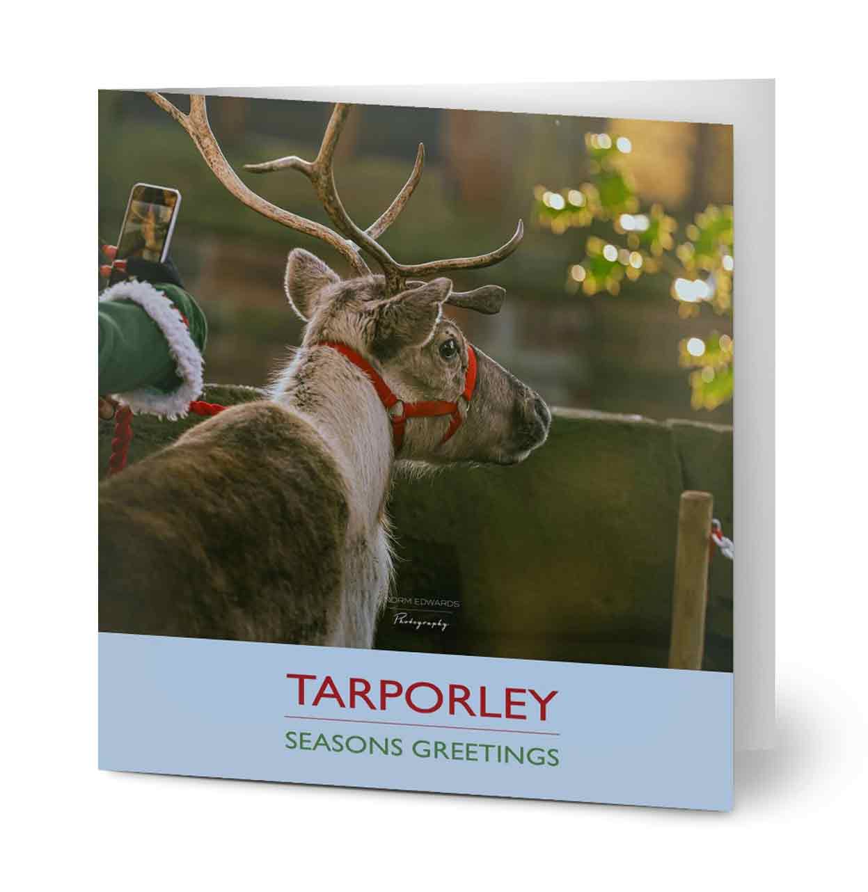 Tarporley Reindeer Christmas Card - Pack of 10