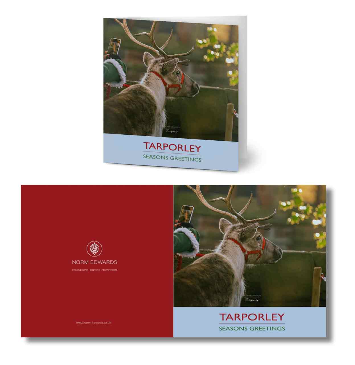 Tarporley Reindeer Christmas Card - Pack of 10
