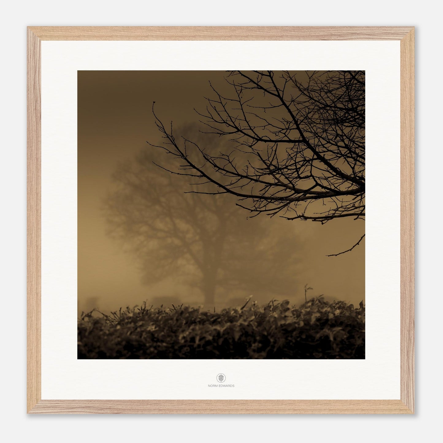 a23ec544-dc72-427e-b540-39e3daee285e