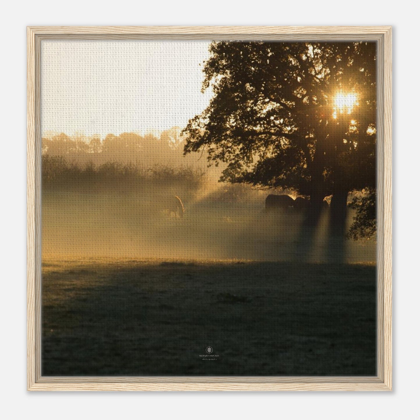 a84d51a9-3240-4e31-858b-5171cd118e9d