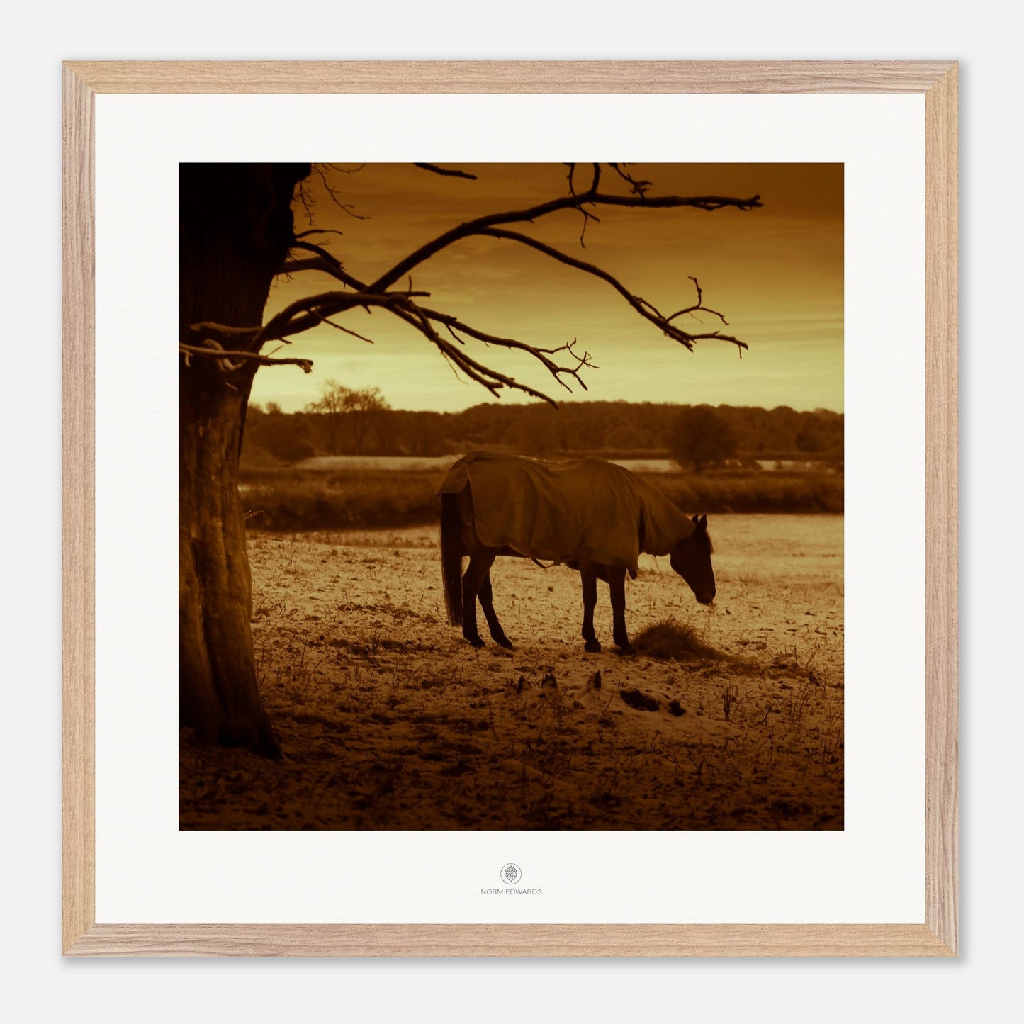 aadbf72f-5139-4de8-9029-57a0ec94b698