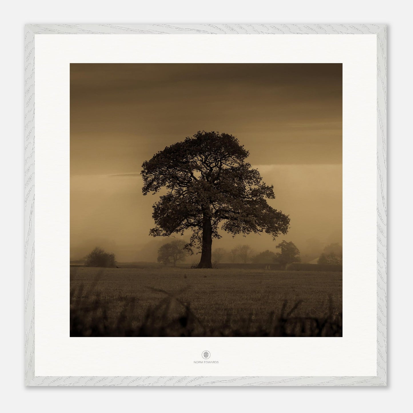 b142ecc8-c228-4295-929d-1637686340e7