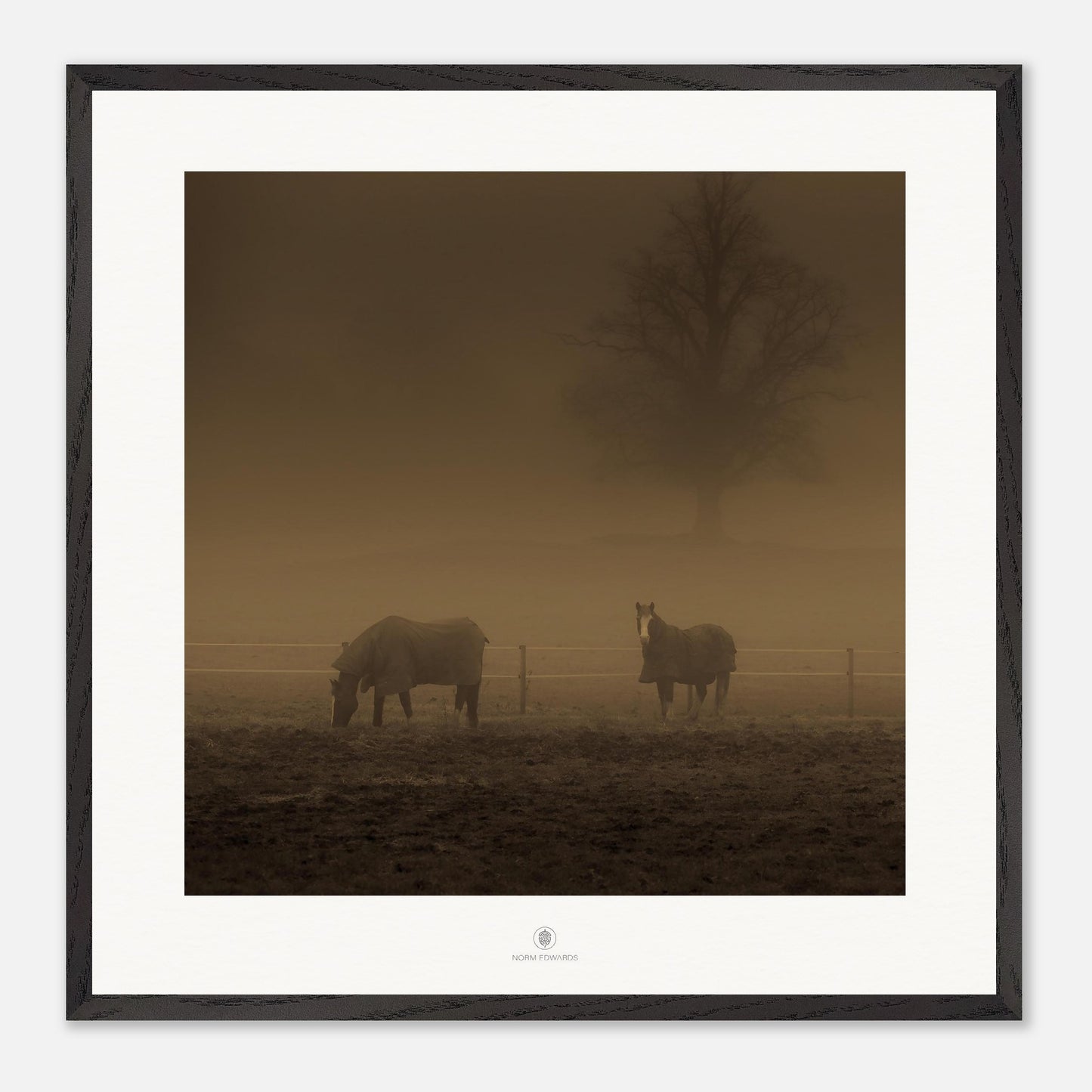 bf957ed2-c02f-4dd8-a7e2-31befe1c3cd4