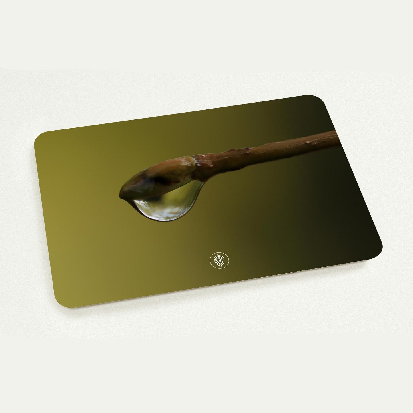 c005648f-3938-4cfe-aa10-7ee63c6f16f8