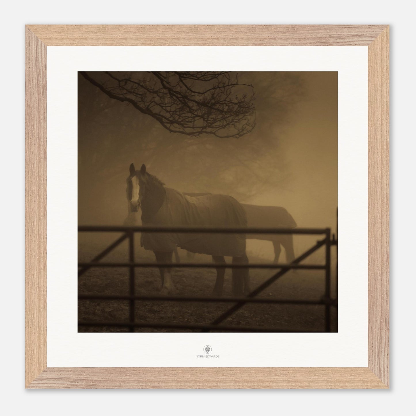 c050f4e2-7f02-422b-9c10-f5bd6d7e077b