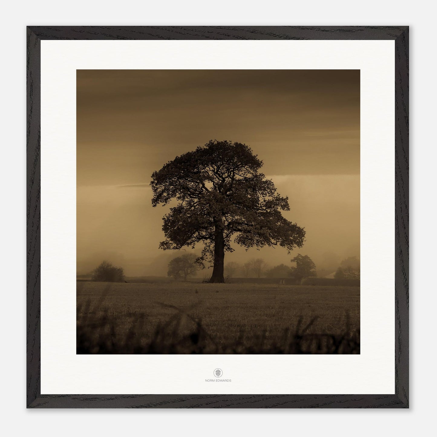 c0ee3d7a-fe34-487a-b3bc-faf1f8623eea