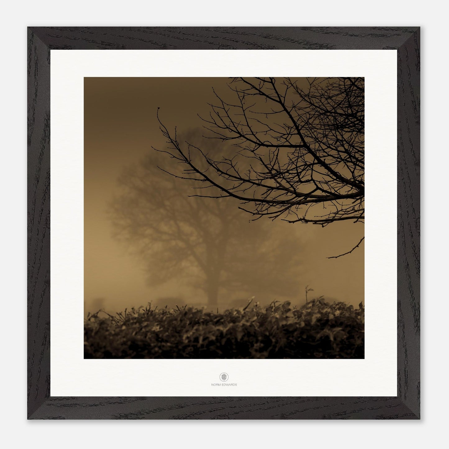 c89dae8d-19b1-4f18-b058-5b8d08bf0c7f