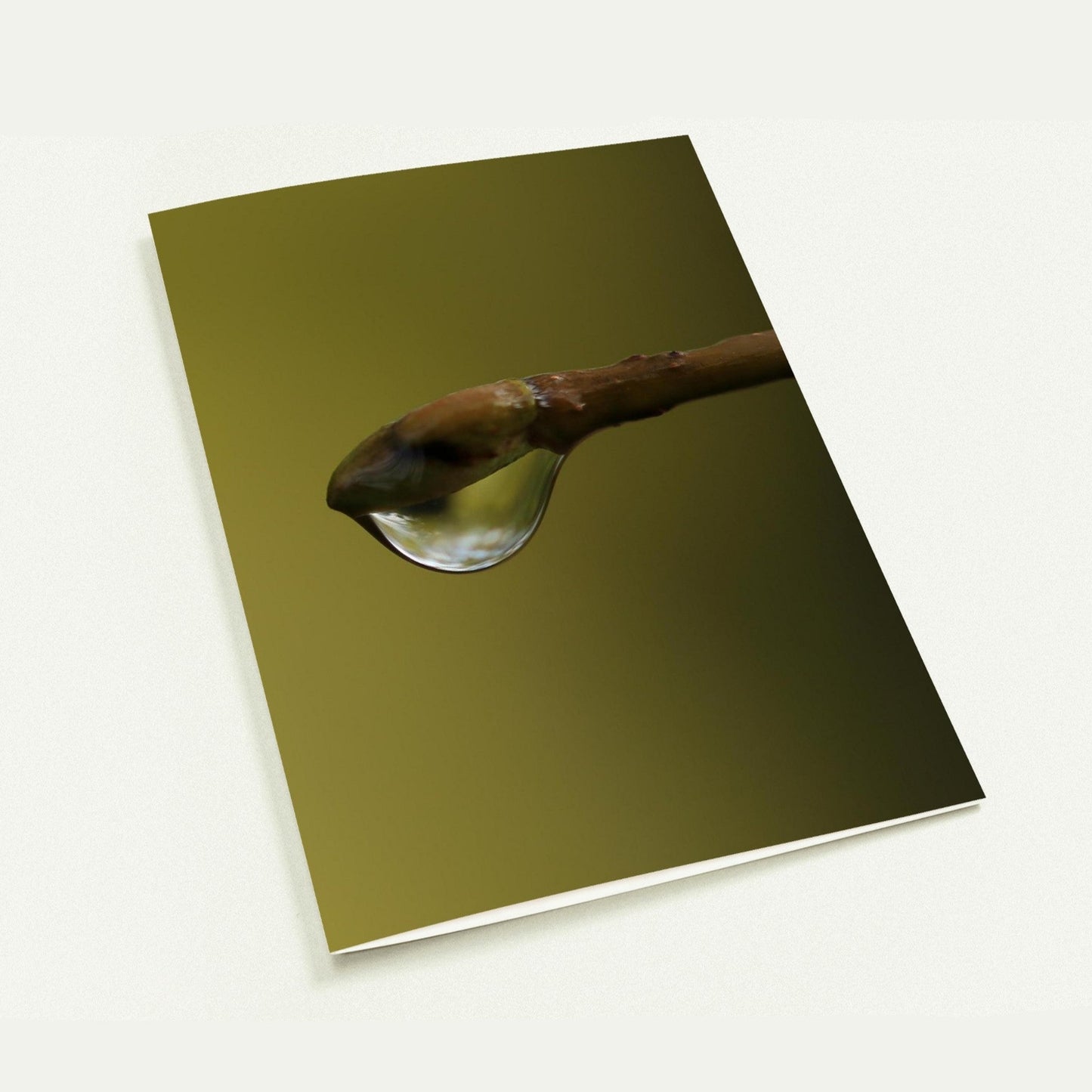 c90bae3a-40fc-4e2a-ad15-0d1879285e61