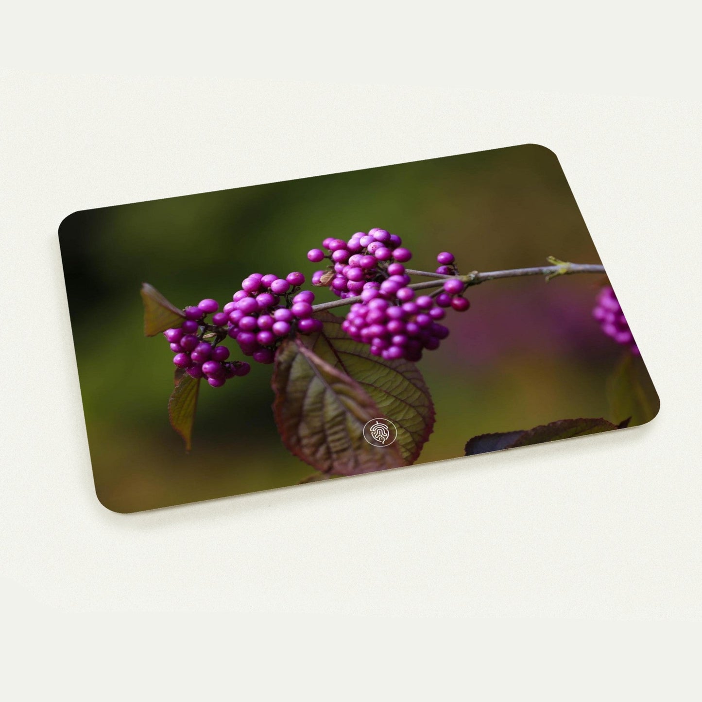 cae1d8eb-79b4-439f-887f-46cbe83f6c00