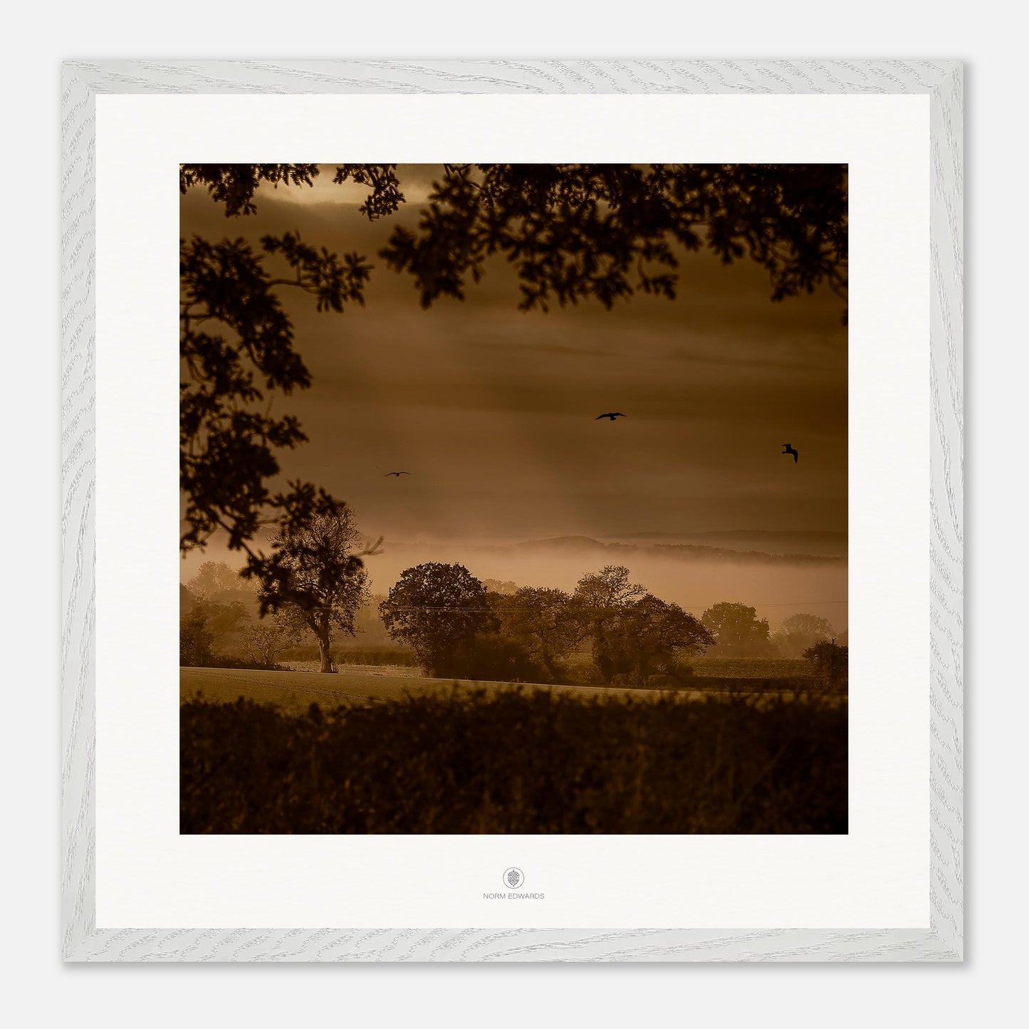 d08b2485-eaa6-4335-bd0e-3c488bf247cc