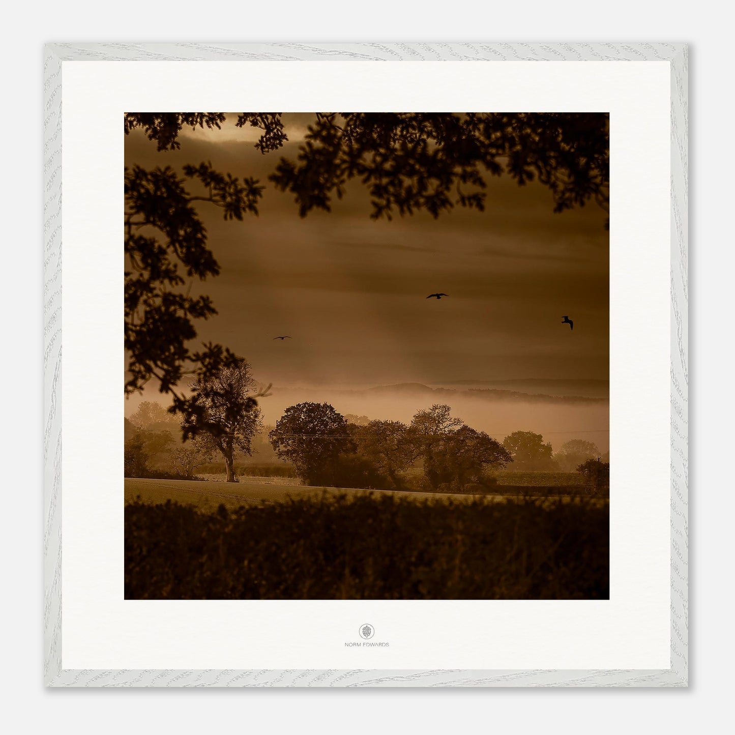 d58ba192-a128-41f0-8e74-bc356ef0432d