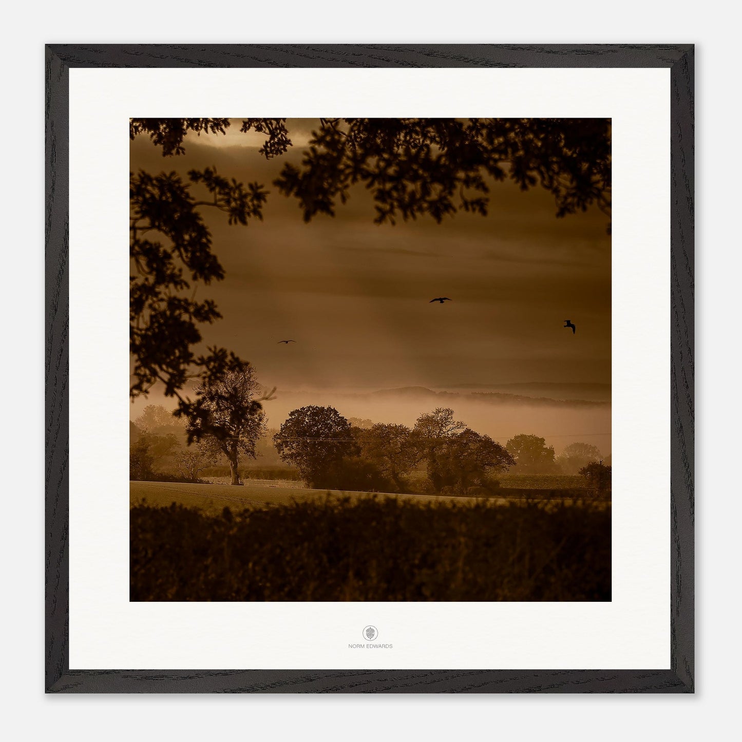 e1884429-841b-441e-85d0-b969f5861880