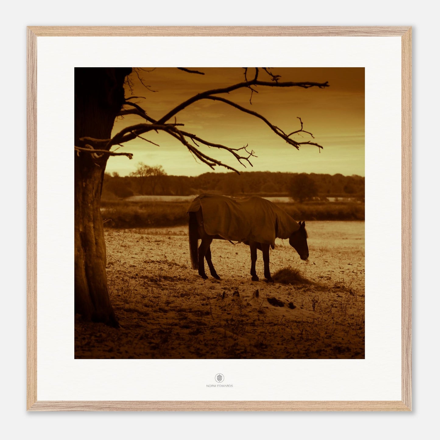 e3561c5a-9ff8-43a1-97e0-d5019b77614e