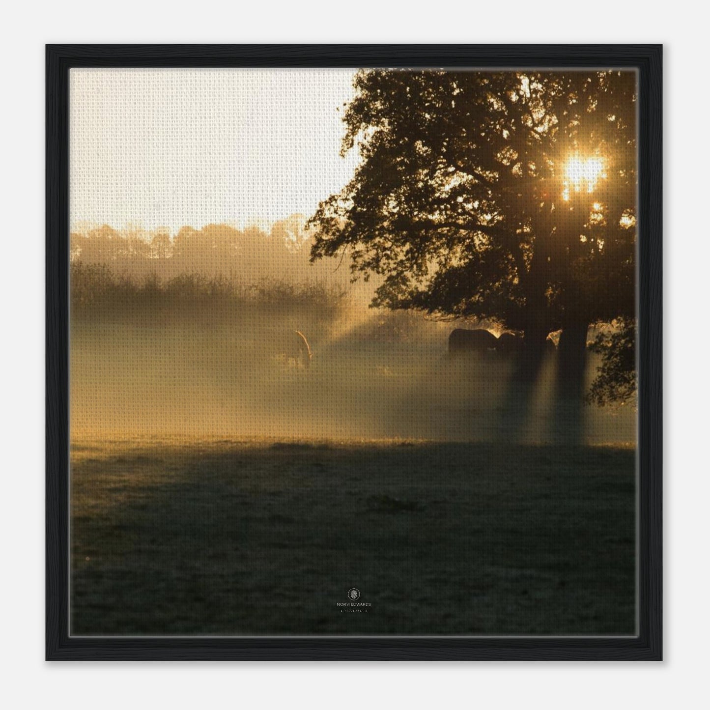 e71bcad7-3926-4ad9-9079-93d030376157