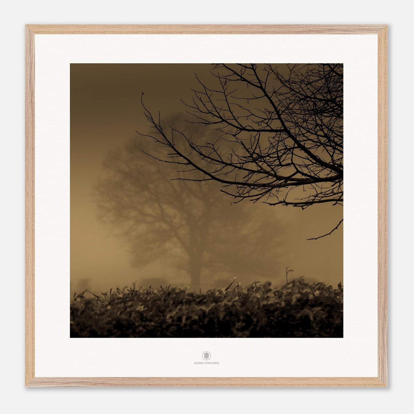 e9e11fc0-1bfc-4902-9ad4-4054387718f4