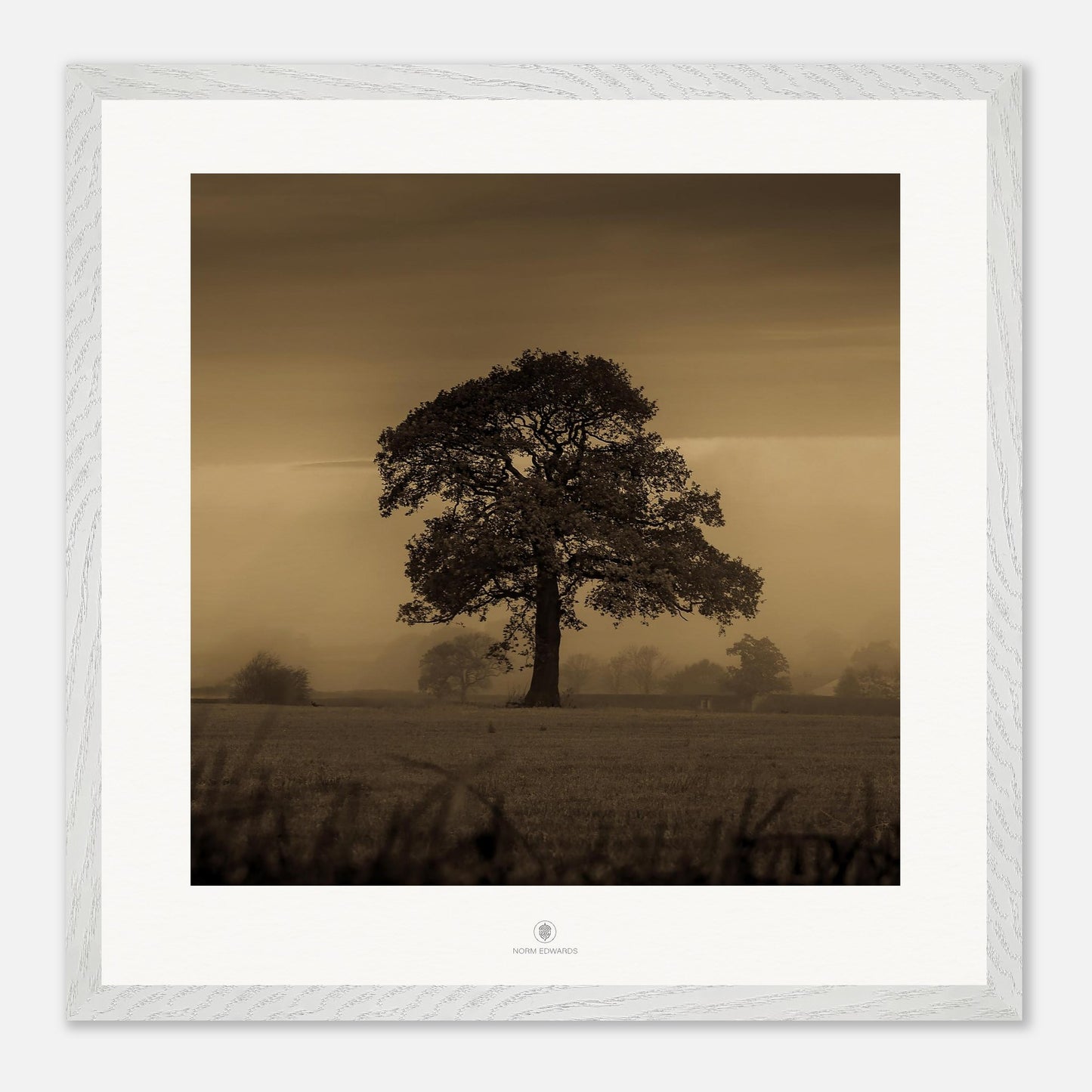 ea1befed-82b0-4fbe-ad90-65d11efee905