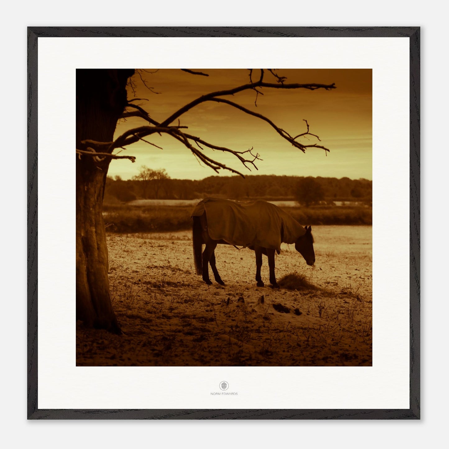 f11ed6b3-6f7e-43da-801b-126ecb8151bc