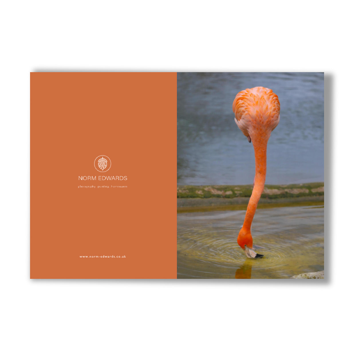 "Thank You" Cards 10 Pack – Photography by Norm Edwards