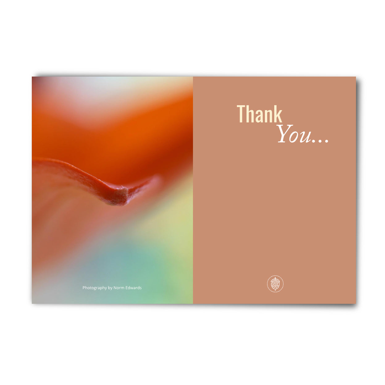 Autumnal Trees - Thinking of You Cards - 10 Pack – by Norm Edwards