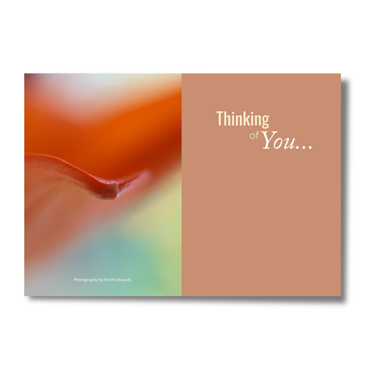 "Thinking of You" 10 Pack – Photography by Norm Edwards